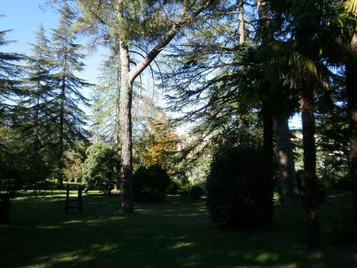 la Catalane