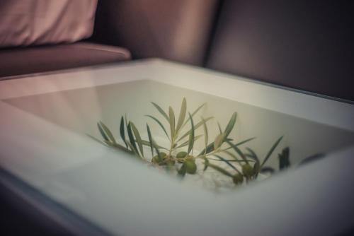  A Quintinha Do Raposo in Macedo de Cavaleiros