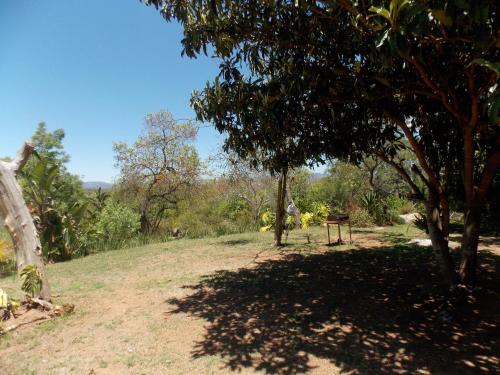 Leopard Tree Retreat