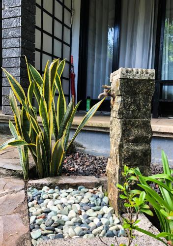 飛魚布納肯潛水度假村