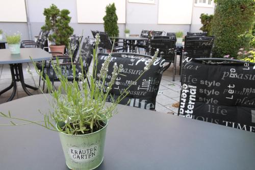 Hotel Weisser Schwan - image 2