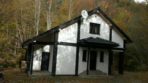 Cabana Crenguta - Accommodation - Sibiu