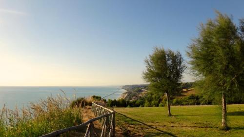 CONTEA DEI CILIEGI (official) - image 4
