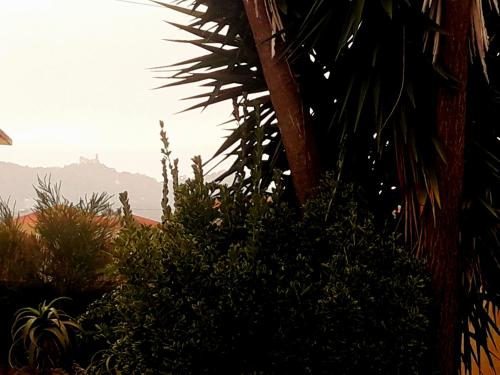 Lugar Saloio Sintra - image 14