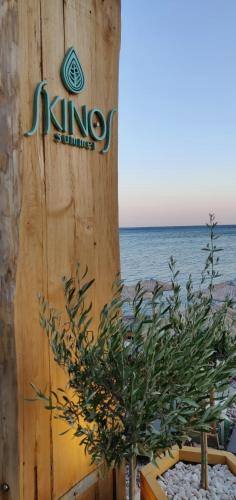 Skinosummer - image 3