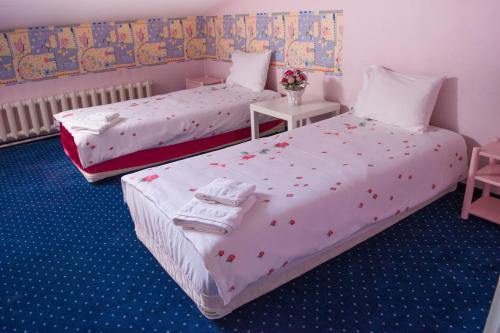 Cosy, quiet house with Vitosha view near Paradise