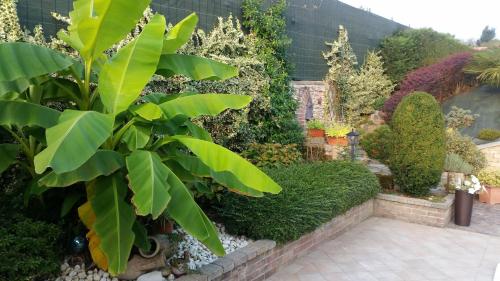 B&B Villa Laura - image 9
