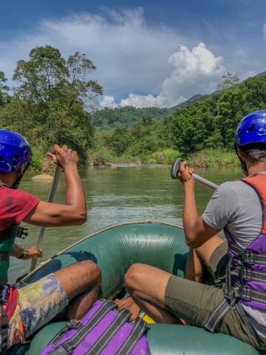 Tree Houses by Jungle River - image 3
