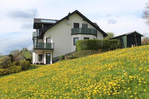 Ferienwohnung Moos-Hochsauerland