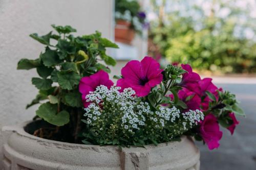 Clareville House B&B - image 14