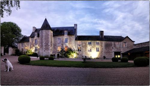 Chambres d'Hôtes Le Prince Grenouille photo 19