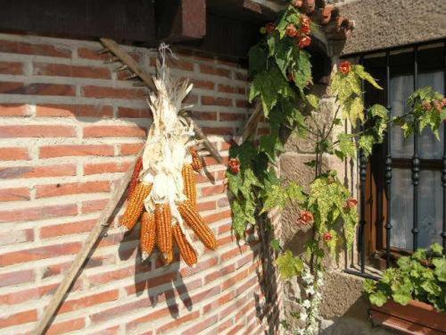 Posada La Solana - image 12