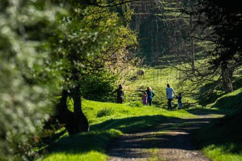 Mahaanui Cottage Farmstay