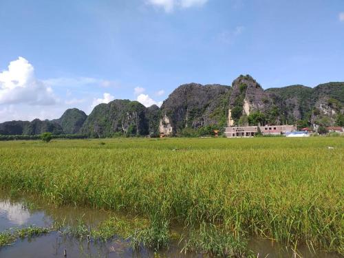 Tam Coc Riverside Homestay