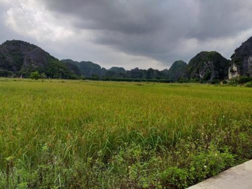 Tam Coc Riverside Homestay