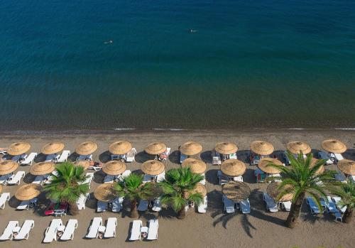 The Beachfront Hotel Adult Only 16 Plus - image 6