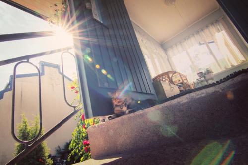 Balcony/terrace, Apartment Hotel Kuukkarin Kortteeri in Pori