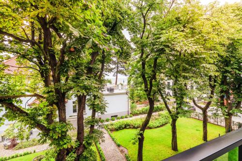 Hotel Testa - image 11