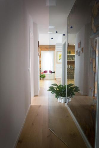  Kia ora Suite Apartment in San Zenone