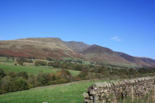 The White Horse Inn Bunkhouse - image 8
