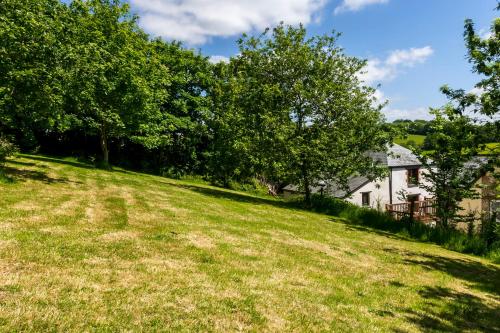 tuin, Great Lilly Cottage in Goodleigh