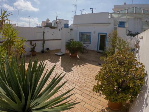 La Terraza del Drago - image 9
