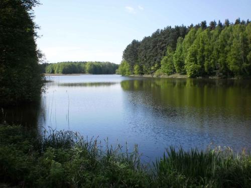 Ferienhäuser Waldidyll