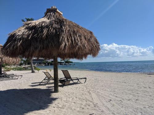Matecumbe Resort - image 7