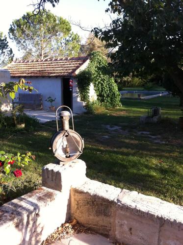 Mas de Bouvet en Camargue - image 11