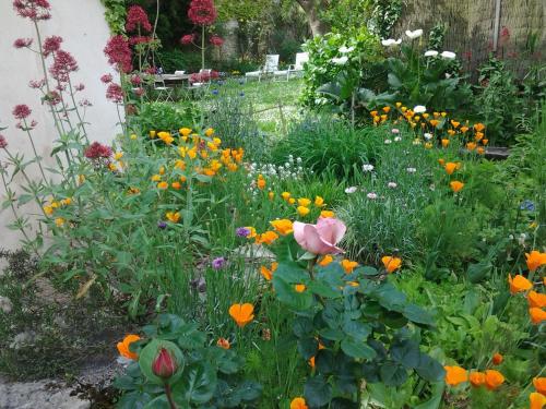 Chambres d'Hôtes Aroha - image 4