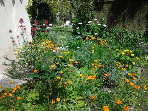 Chambres d'Hôtes Aroha - image 7