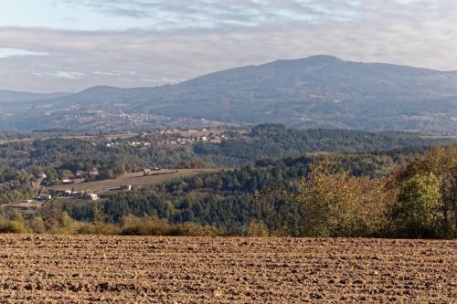 gite de Sauviat 25 chemin du grand Pacher le bourg de Sauviat 63120