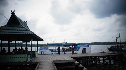 houseboat kelotok bee in Pangkalan Bun