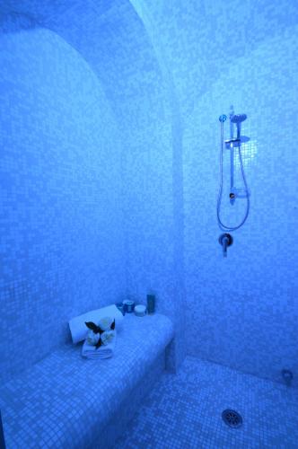 Suite with Spa Access image 4