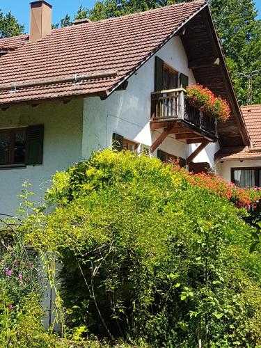 Martina's place in Rottenbuch, Deutschland