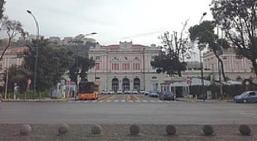 BB Debono - image 5