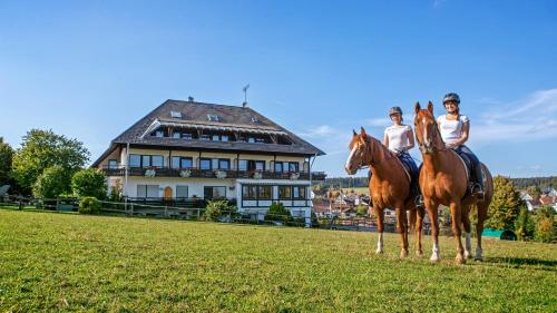 Landpension Pferdekoppel - Self Checkin - Hotel - Seewald