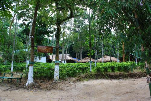 Nature Hunt Eco Camp