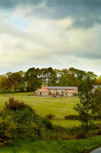 Rawcliffe House Farm Holiday Cottages - image 13