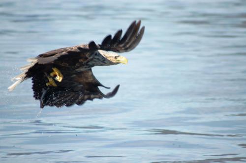 Thon Hotel Lofoten - image 12