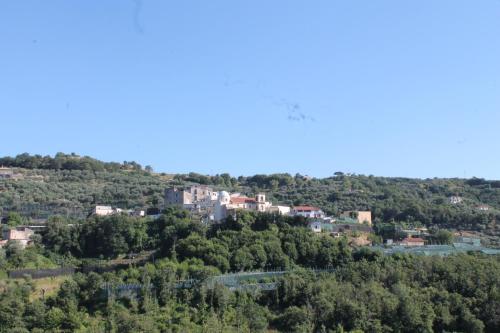Sunset House, Massa Lubrense (fotografie 9)