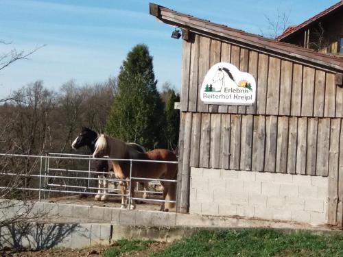 Ferienwohnung auf dem Erlebnisreiterhof Kreipl in 格拉特斯多夫