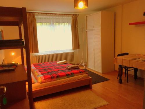 King Room with Garden View