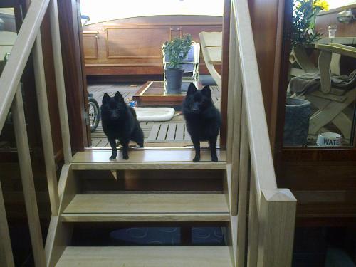 BlackPearl Boat&Breakfast in แตนูเซ็น