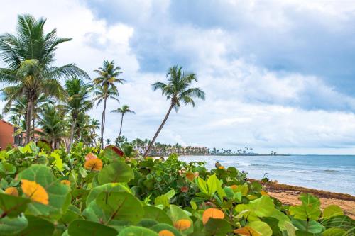 Strand, BV103 - Amazing Oceanfront Condo steps from beach in Humacao