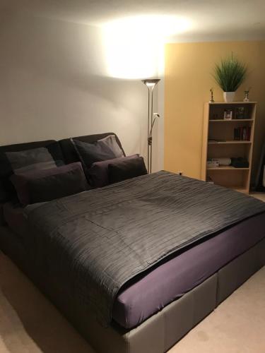 Kleine Wohnung im Grünen, Drážďany