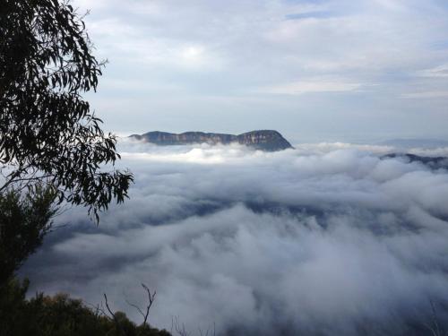 Ribbon Gum Lodge