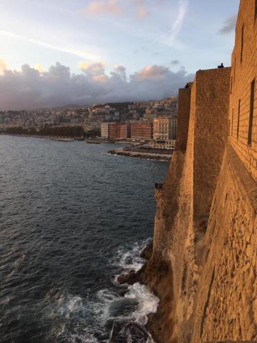 International Naples - image 2