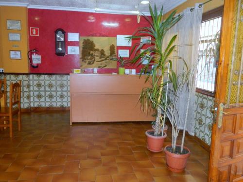 ล็อบบี้, La Esteponera in ลาลิเนียเดลาคอนเซพเซียน