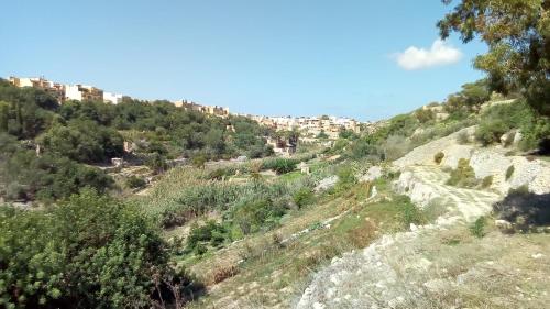 Rubis, Victoria (foto 7)